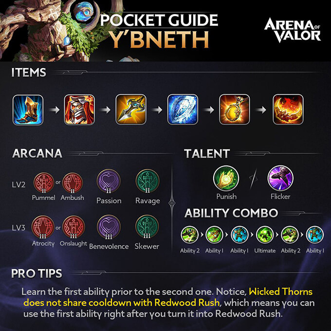 Y'bneth Pocket Guide