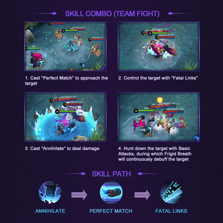 Skill Combo Team Fight