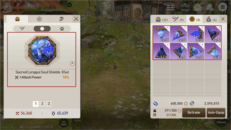 Set Bonuses activate when multiple items in a particular set are equipped at once. (Accessories / Soul Shields) 