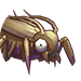 Female Thief Bug