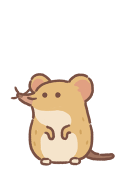 Elephant Shrew