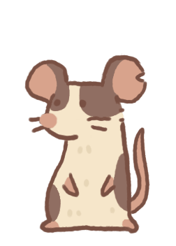 Fancy Rat