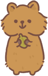Quokka