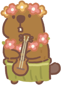 Soloist Beaver