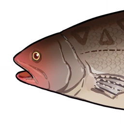 Black-Back Bass